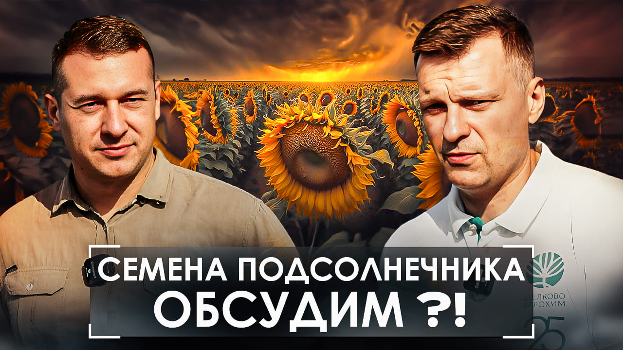 Что происходит на рынке семян? Ожидания и реальность. Подсолнечник селекции  @betaren_ 