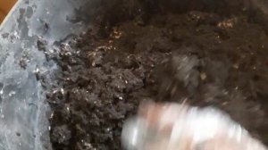 Восковая Моль - нативные продукты жизнедеятельности личинки восковой моли. сортировка сырья.