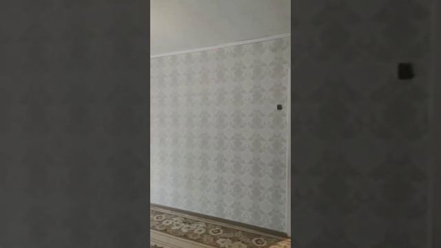 InShot 20220801 090450267 смотреть онлайн