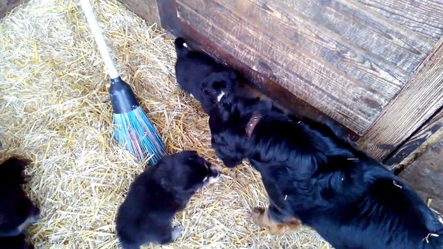 Обед на воздухе и прогулка, -18°С смотреть онлайн