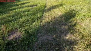 Как газонокосилка Stiga Collector 48S BS косит траву!?