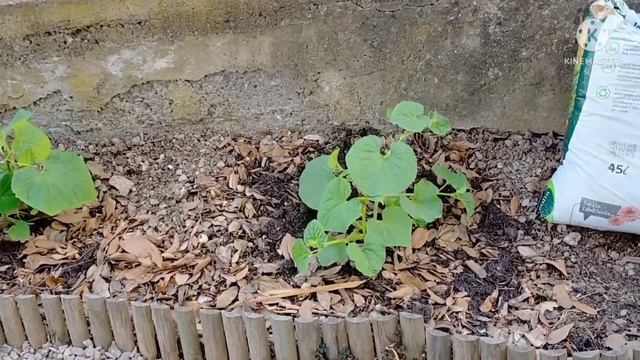 19 июня 2022 г.урЬя