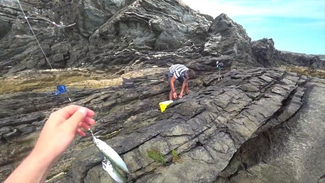 Скумбрия (mackerel) садилась на все крючки.Морская рыбалка в Англии со скал.(Уэльс) смотреть онлайн