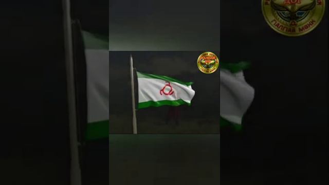 ИНГУШСКИЙ СОБР И ОМОН В СВОЁМ РЕПЕРТУАРЕ!!! смотреть онлайн