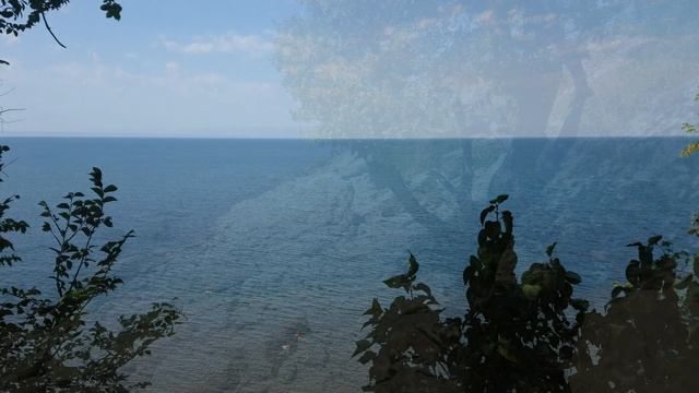 Прогулка по диким берегам Чёрного моря. смотреть онлайн