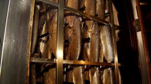 В Новом Уренгое будут развивать предприятия по переработке рыбной продукции