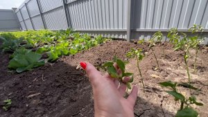 Купили дом в Краснодаре. Станица Старокорсунская. Котеджный поселок «Усадьба Виктория"