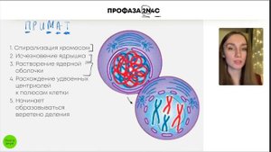 БИОЛОГИЯ ЕГЭ - Деление клетки: митоз