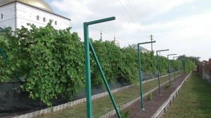 Горнальский монастырь в Курской области