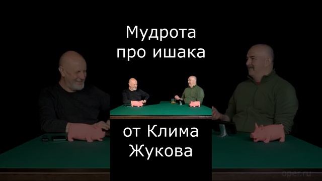 Мудрота про ишака от Клима Жукова #Shorts