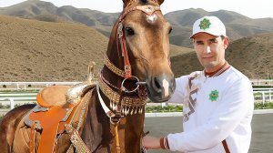 Лошадей для службы в армии начнут готовить в новом конном комплексе Туркменистана