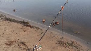 Рыбалка в БЕЛАРУСИ на реке БЕРЕЗИНА 2022