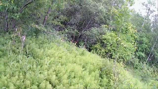 Землянка. Гроза. Атака муравьёв. Тест щепотницы. Быстрый ужин смотреть онлайн