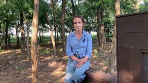 Содержание лошади в частном хозяйстве