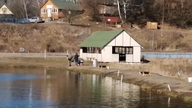 Мисайлово Trout. Форель сегодня клюёт как-то так