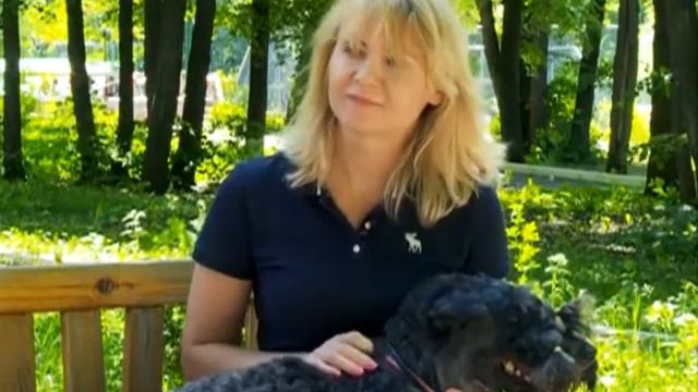 Лапы и хвост 16.06.2013 смотреть онлайн