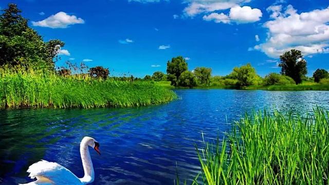 Марат Цораев - Настанет день и все отцы поймут смотреть онлайн