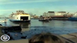 "Москвич-412" АЗЛК  СССР  Ралли Лондон-Мехико 1970 год