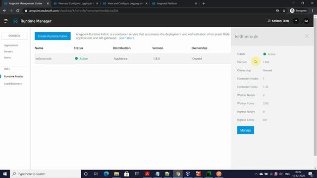 MuleSoft Runtime Fabric to GrayLog Log Forwarding смотреть онлайн