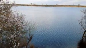 ловля карася весной с берега