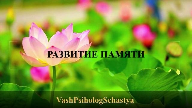 ⚡ 10.4. Индивидуальные особенности памяти и ее развитие #вашпсихологсчасть #осознание #память #психо