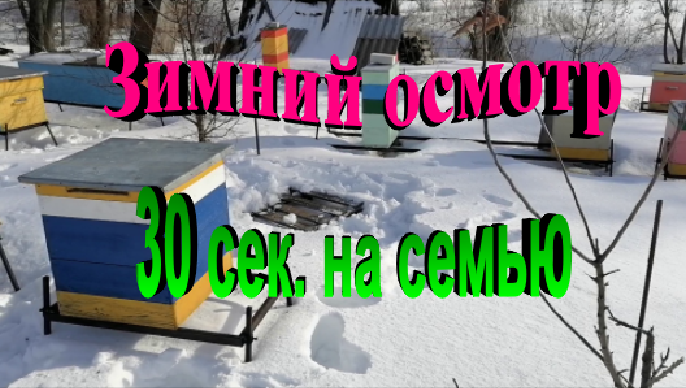 Зимний осмотр на пасеке 30 сек. на семью. Зимовка пчел смотреть онлайн