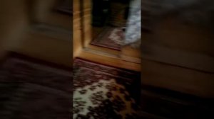 О выборе подложки под ламинат на деревянный пол