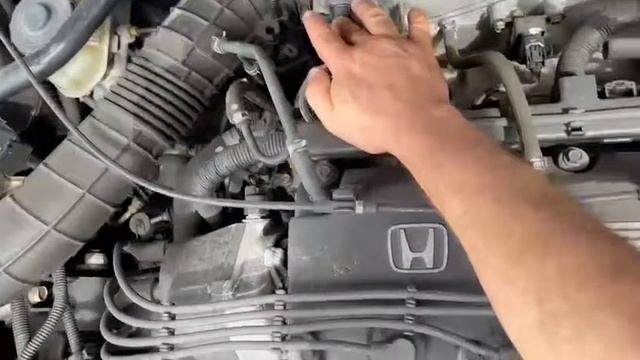 Honda, Torneo, CF3 , F18B , T2C5, Серый RP31M, 2002, М503 смотреть онлайн