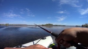 ОПЯТЬ КРУТАЯ РЫБАЛКА!Рыбалка на р.или 2020 Ловля змей головы!!!