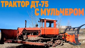 Трактор ДТ-75 с мульчером UM-Forest