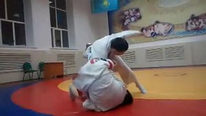 Болевой на руку со стоики Самбо