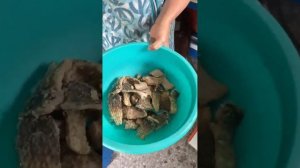 Рецепт рыбной консервы | Андрей Лунёв