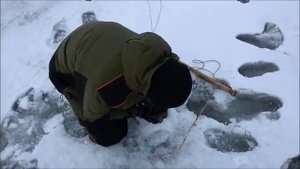 Ловля налима на зимние донки (поставухи) на Рыбинском водохранилище.