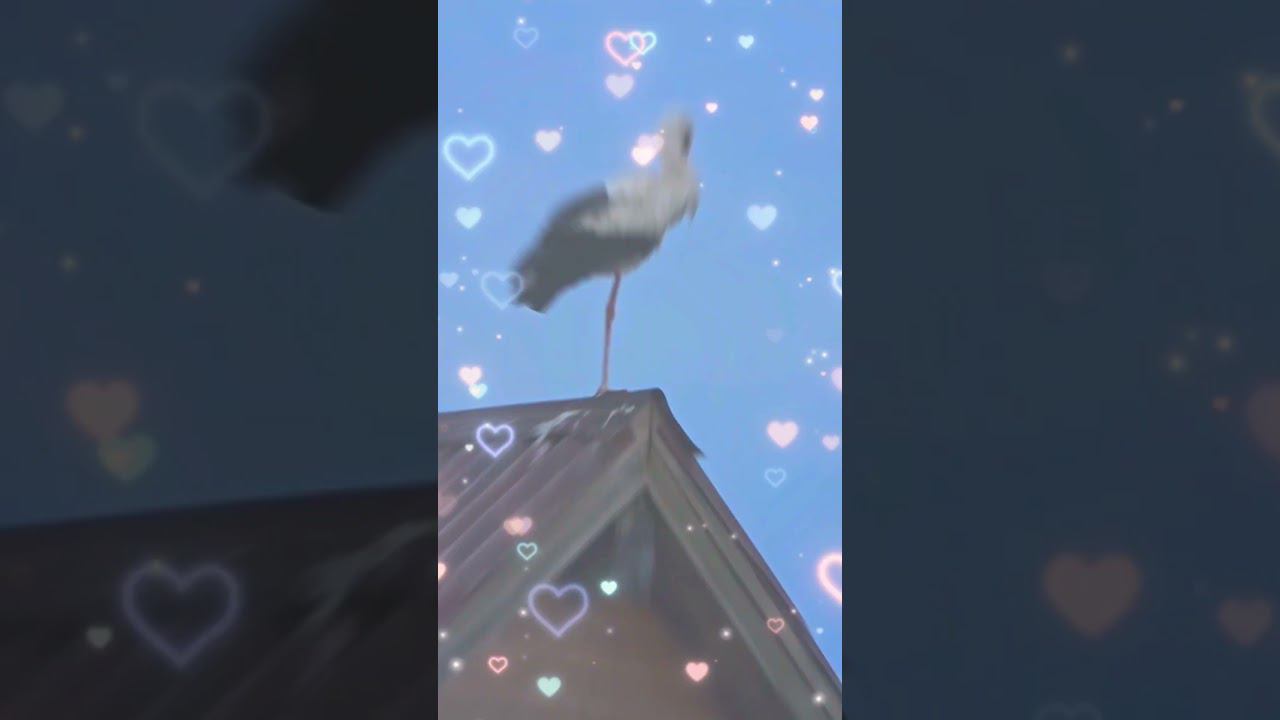 Аист на крыше Мир на земле (С.Ротару) смотреть онлайн