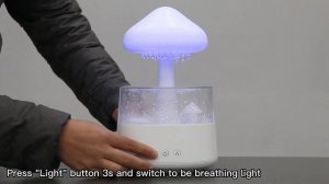 How to use essential oil diffuser rain cloud air humidifier with night light?