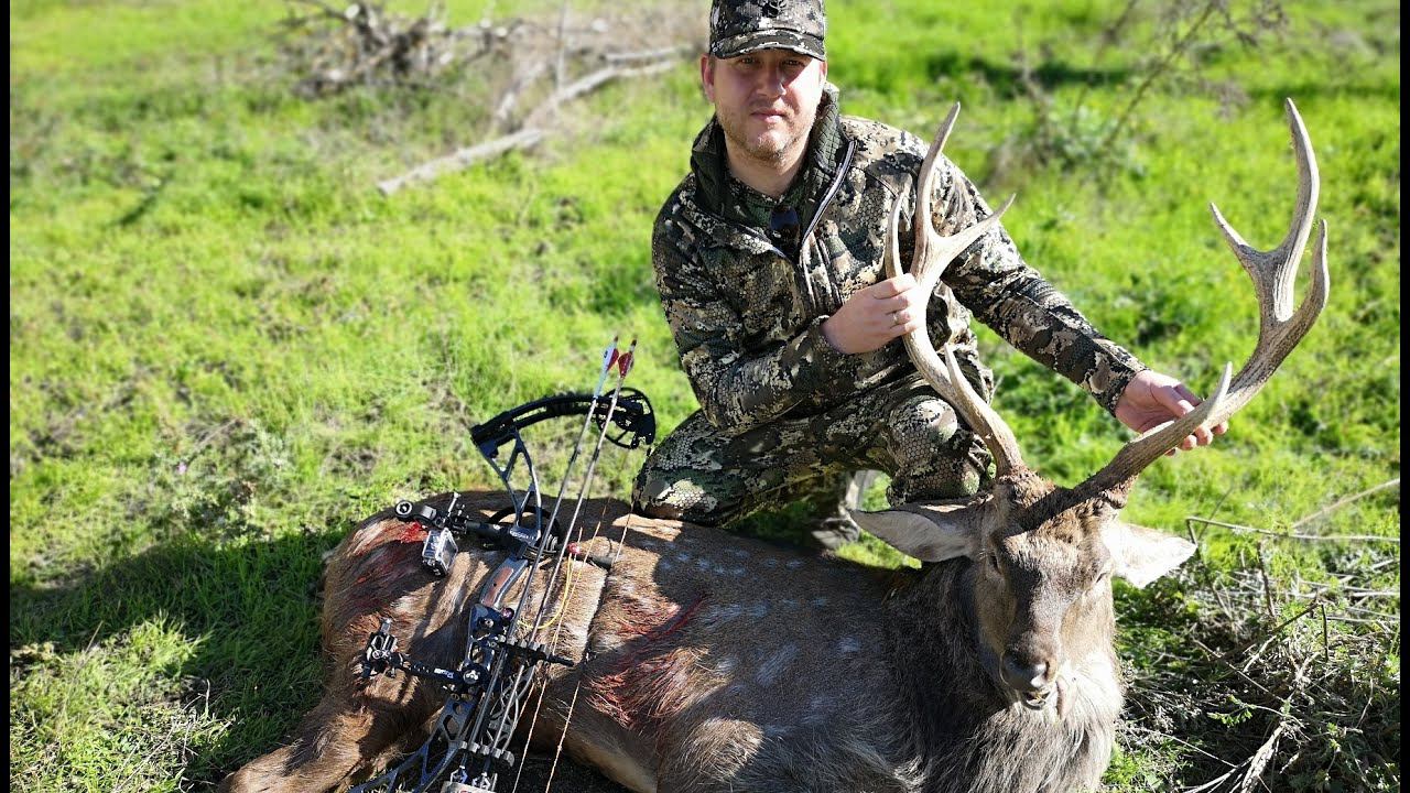 Охота с блочным луком на оленя в вольере. смотреть онлайн