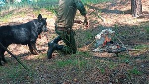 Июль 2023🤎🌲🌲