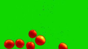 Футаж HD. Помидоры. На хромакее