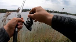 Леска трещит и рвётся в ХЛАМ, а катушка воет. Рыбалка на поплавок. Клюнул огромный лещ.