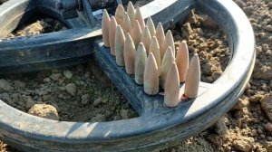 Хотел МОНЕТ, а получил...