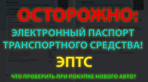 Осторожно: Электронный паспорт транспортного средства! (ЭПТС)