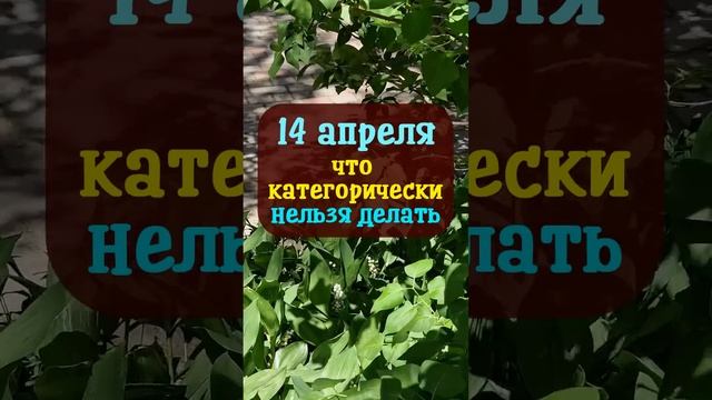 14 апреля Страстная пятница, праздник Марьи Пустые щи. Что нельзя делать. Народные традиции приметы