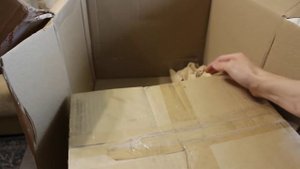 Посылка от Никиты Шарапы и Ольги Тильды