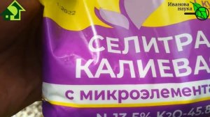 ТОМАТЫ ОСТАНОВИЛИСЬ и НЕ ХОТЯТ РАСТИ? ВОТ ЧЕГО ИМ НЕ ХВАТАЕТ! ОДНА ПОДКОРМКА ОТ ВСЕХ ПРОБЛЕМ!