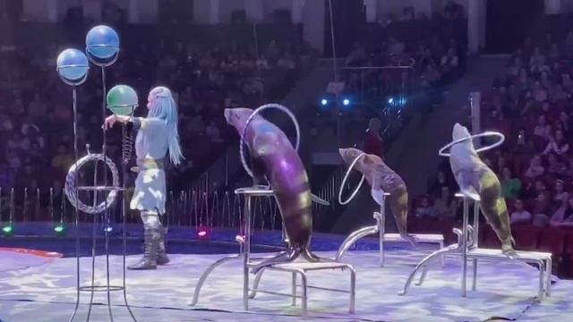 Цирк Одиссея смотреть онлайн