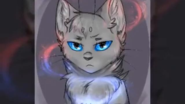 Коты воители кровоцапка
