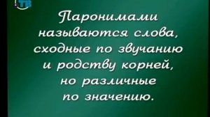 Русский язык для детей. Урок 2.8. Что такое паронимы?