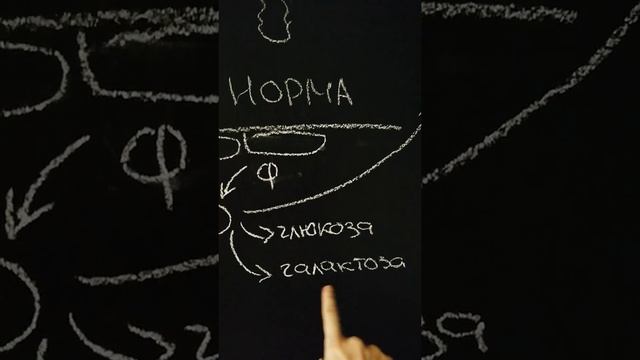 ЛАКТАЗНАЯ НЕДОСТАТОЧНОСТЬ. Расщепление лактОЗЫ лактАЗОЙ | Часть_2