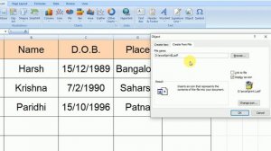 Insert object in excel, Insert pdf file in excel, Insert object in excel, insert pdf , excel or jpg