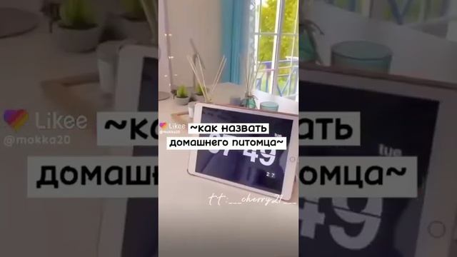 Как назвать домашнего питомца♡?